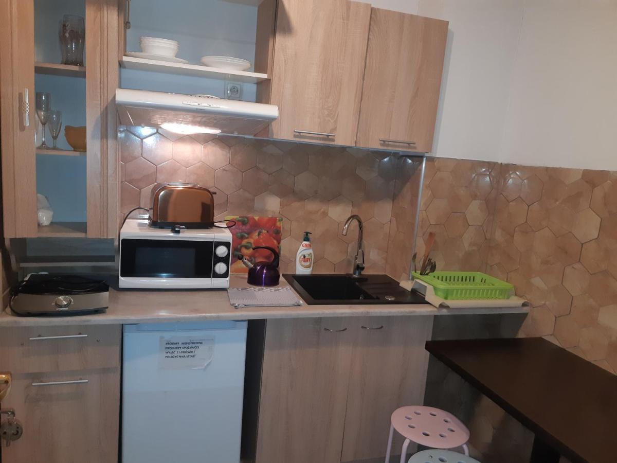Apartamenty I Pokoje Goscinne Nowita 扎科帕内 外观 照片