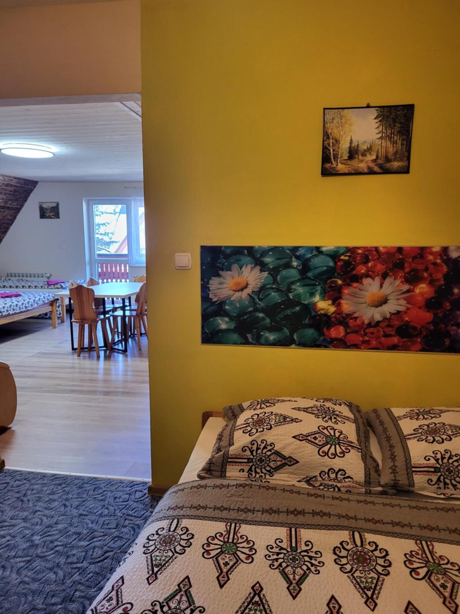 Apartamenty I Pokoje Goscinne Nowita 扎科帕内 外观 照片