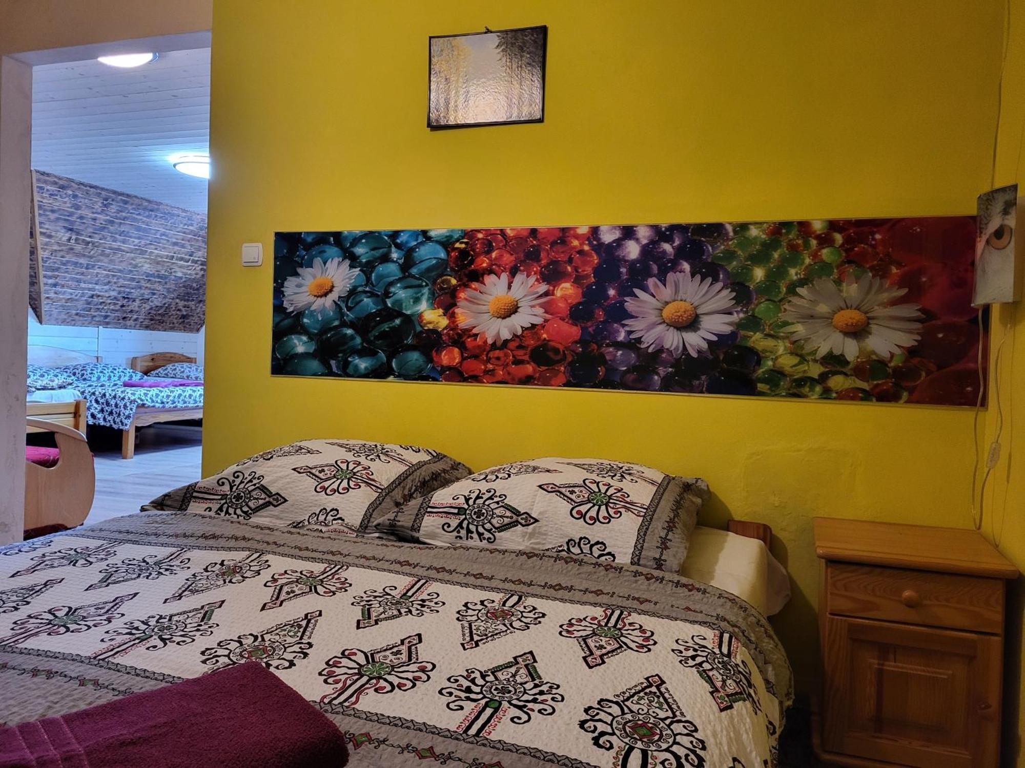 Apartamenty I Pokoje Goscinne Nowita 扎科帕内 外观 照片